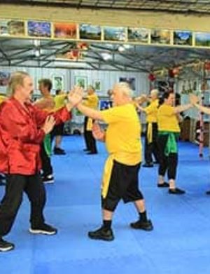 Wing Chun Kung Fu Melbourne - Greensborough Martial Arts Self Defence