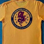 wing chun, jee shin wing chun t shirts,