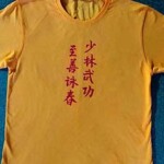 wing chun, jee shin wing chun t shirts,